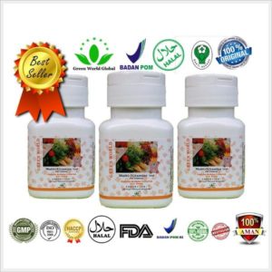 Multivitamin_Tablet_For_Children_Green_World_Original